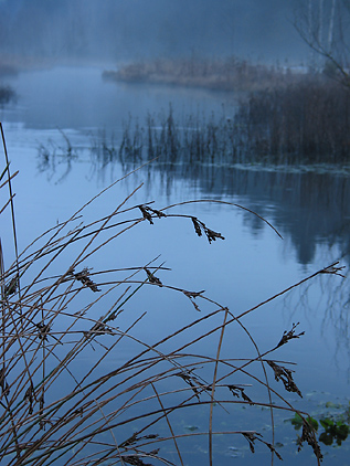 blaue Stunde