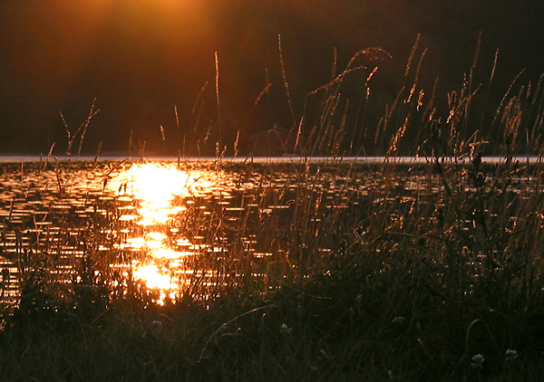Sommerabend