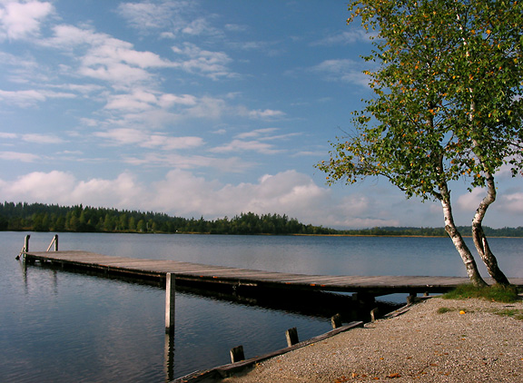 am Kirchsee