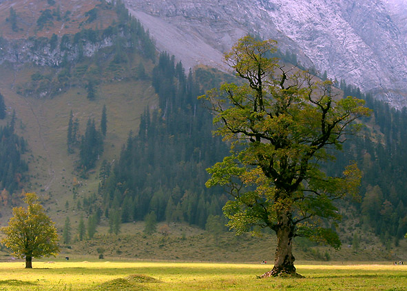 Gro&szlig;er Ahornboden/Tirol