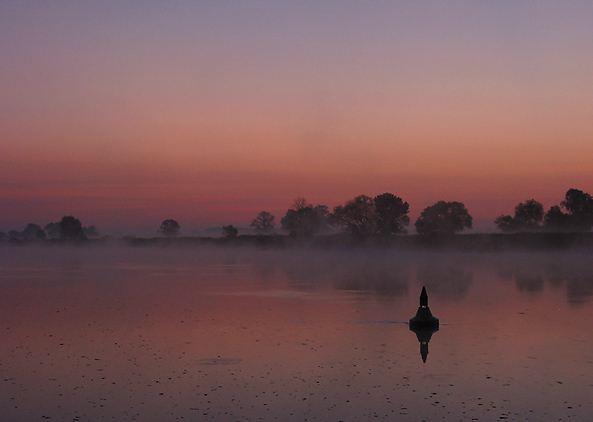 Morgennebel