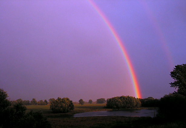 Regenbogen