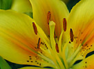 zur Galerie Nah & Details