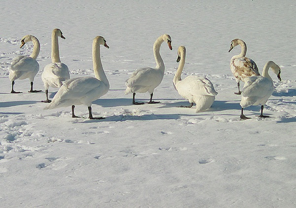 Plothener Teiche (c) Wolfgang Schubert