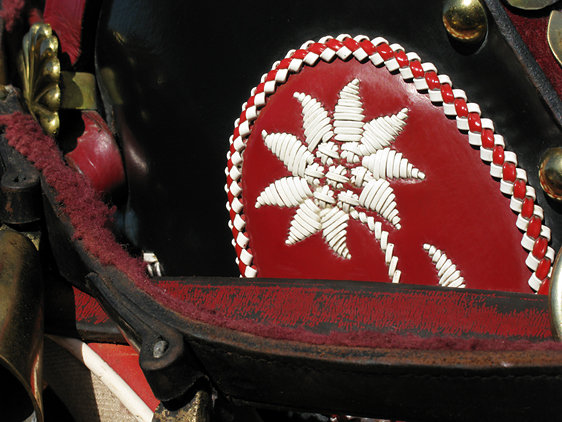 Detail eines pr&auml;chtigen Pferdegeschirrs
