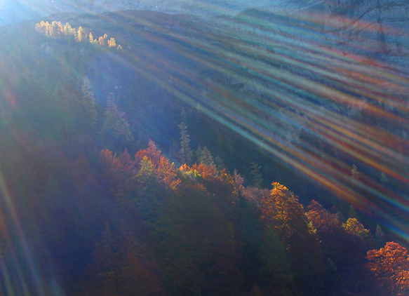 Altweibersommer