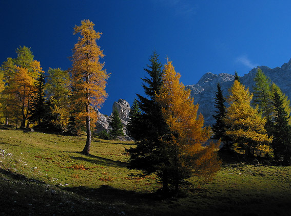 Altweibersommer