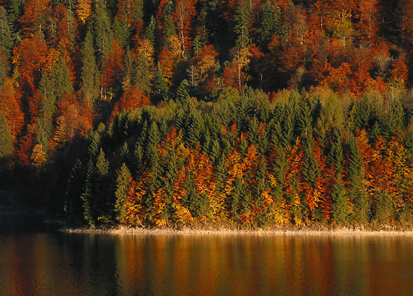 Altweibersommer