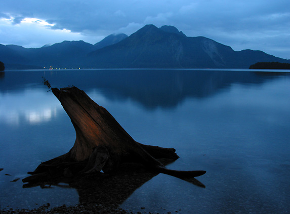 Walchensee-Wurzel