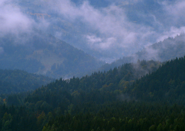 Nebel