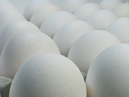 Eier