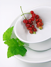 Johannisbeeren