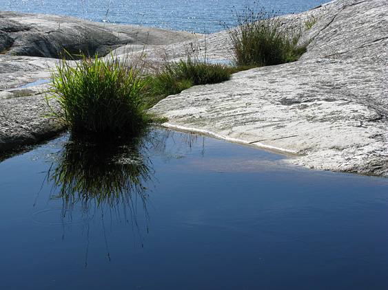 im &Auml;u&szlig;eren Sch&auml;rengarten