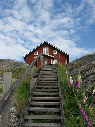 Sch&auml;renidylle